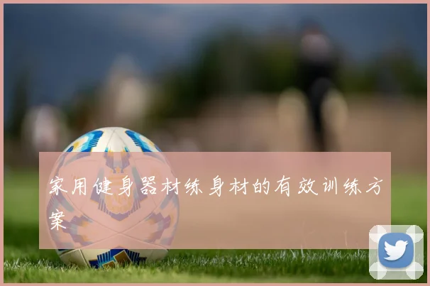 家用健身器材练身材的有效训练方案