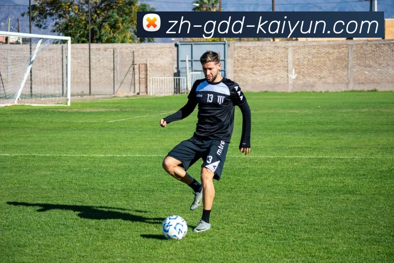 开云体育平台生态图