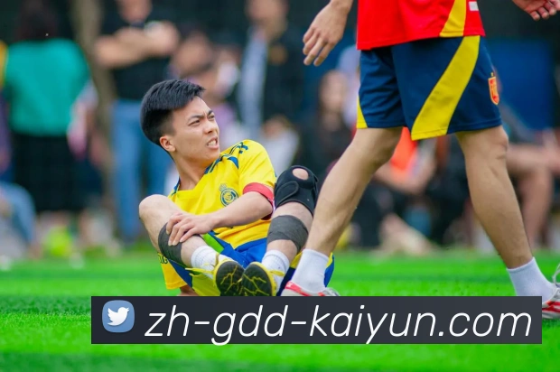 开云体育APP 封面图